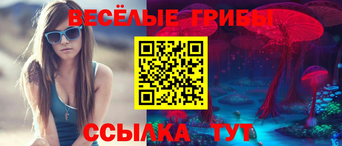 Псилоцибиновые грибы Cubensis  Вход с VPN  Галлюциногенные грибы Cubensis  Минеральные Воды 